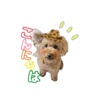 kulu❤︎❤︎（個別スタンプ：21）