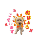 kulu❤︎❤︎（個別スタンプ：24）