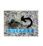 みんなのスタンプセット弟子作成‼︎（個別スタンプ：11）