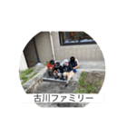 みんなのスタンプセット弟子作成‼︎（個別スタンプ：26）