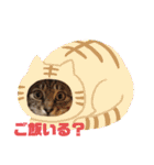 ぜんすけブラザーズ No.1（個別スタンプ：11）