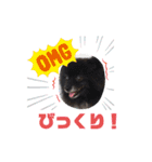 ぜんすけブラザーズ No.1（個別スタンプ：25）