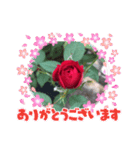 薔薇のスタンプ2（個別スタンプ：3）