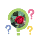 薔薇のスタンプ2（個別スタンプ：5）