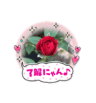 薔薇のスタンプ2（個別スタンプ：9）