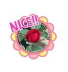 薔薇のスタンプ2（個別スタンプ：10）