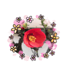 薔薇のスタンプ2（個別スタンプ：40）
