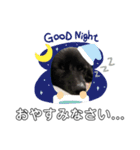犬ポメラニアンぜんすけブラザーズぽんすけ（個別スタンプ：3）