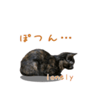 サビ猫の可愛いスタンプ（個別スタンプ：7）