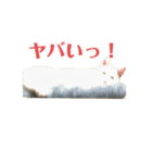 ごまぞースタンプ3（個別スタンプ：15）