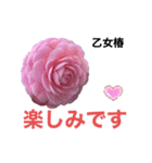 薔薇好きpotスタンプ1（個別スタンプ：2）