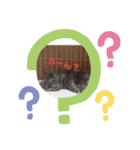癒し動物～（個別スタンプ：4）