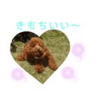ティナのスタンプ17（個別スタンプ：1）