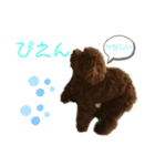 ティナのスタンプ17（個別スタンプ：6）