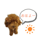 ティナのスタンプ17（個別スタンプ：7）