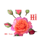 薔薇好きpotスタンプ2（個別スタンプ：1）