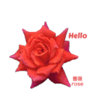 薔薇好きpotスタンプ2（個別スタンプ：3）