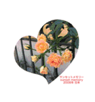 薔薇好きpotスタンプ2（個別スタンプ：11）