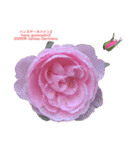 薔薇好きpotスタンプ2（個別スタンプ：19）
