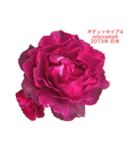 薔薇好きpotスタンプ2（個別スタンプ：25）