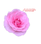 薔薇好きpotスタンプ2（個別スタンプ：29）