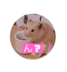太郎ちゃんの日常バージョン2（個別スタンプ：2）
