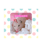 太郎ちゃんの日常バージョン2（個別スタンプ：5）