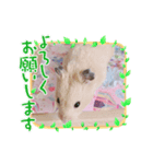 太郎ちゃんの日常バージョン2（個別スタンプ：8）
