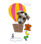 ごきげんジャックなこはてんpart3（個別スタンプ：3）