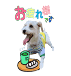 ごきげんジャックなこはてんpart3（個別スタンプ：4）