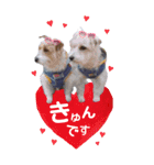 ごきげんジャックなこはてんpart3（個別スタンプ：8）
