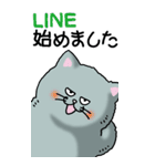 猫大好き！（大）その6（個別スタンプ：1）