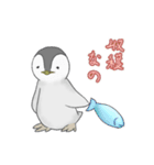 可愛い穏やかなペンギンの子 その2（個別スタンプ：22）