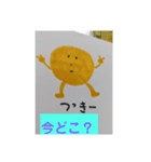 太陽があいさつ（個別スタンプ：11）