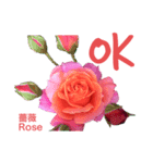 薔薇好きpotstamp（個別スタンプ：1）