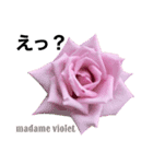 薔薇好きpotstamp（個別スタンプ：3）