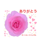 薔薇好きpotstamp（個別スタンプ：4）