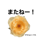 薔薇好きpotstamp（個別スタンプ：5）