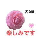 薔薇好きpotstamp（個別スタンプ：6）