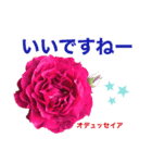 薔薇好きpotstamp（個別スタンプ：7）