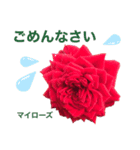 薔薇好きpotstamp（個別スタンプ：8）