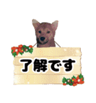 犬 癒し 写真 スタンプ 第2弾（個別スタンプ：20）