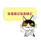 猫のミューちゃんです。（個別スタンプ：20）