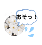 たけしのスタンプ その20（個別スタンプ：1）