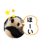 たけしのスタンプ その20（個別スタンプ：2）