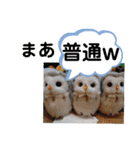 たけしのスタンプ その20（個別スタンプ：4）