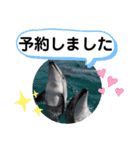 たけしのスタンプ その20（個別スタンプ：5）