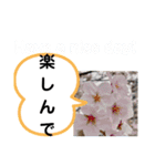 たけしのスタンプ その20（個別スタンプ：7）