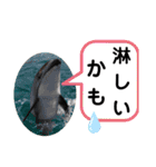 たけしのスタンプ その20（個別スタンプ：10）