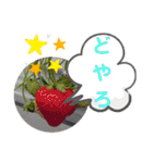 たけしのスタンプ その20（個別スタンプ：11）